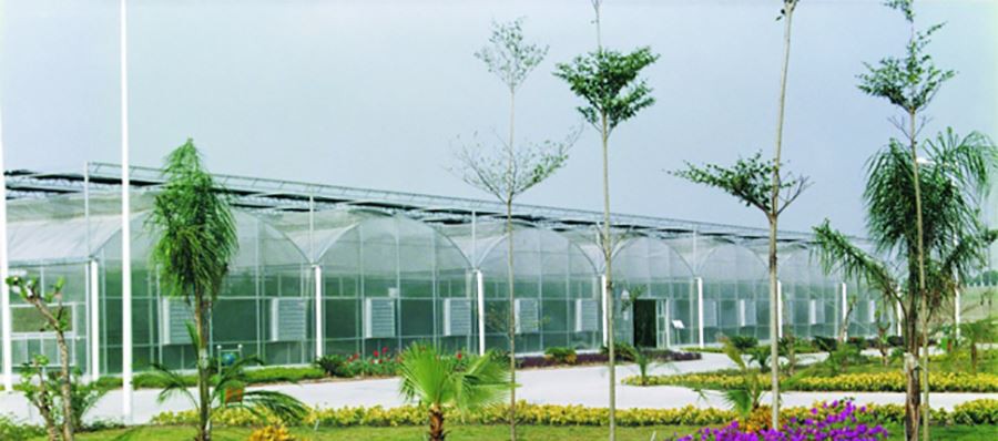 uv resistant greenhouse plastic sheeting factory