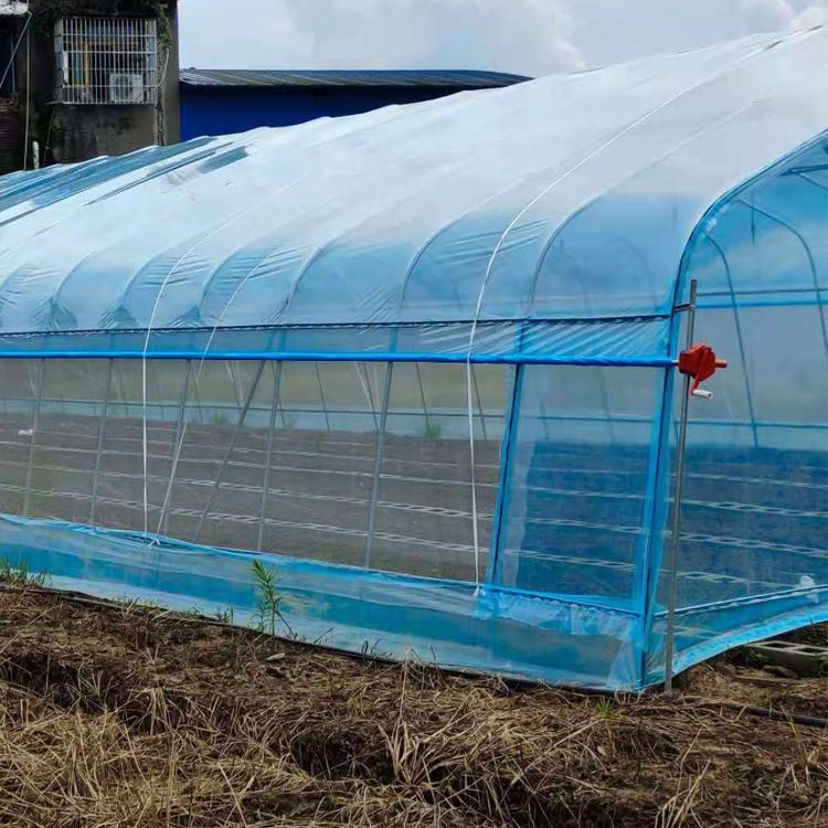 Matters needing attention when raising seedlings in smart greenhouses Matters needing attention when raising seedlings in smart greenhouses