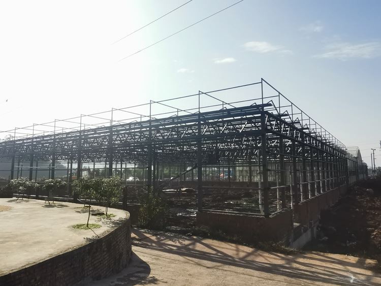 The role of the greenhouse