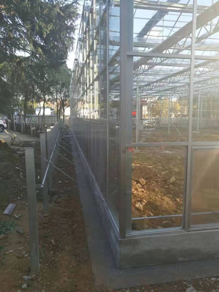 How should glass greenhouses be managed before summer arrives How should glass greenhouses be managed before summer arrives