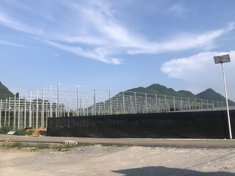 Steel tube skeleton design and construction are becoming more and more common in modern agriculture! Steel tube skeleton design and construction are becoming more and more common in modern agriculture!
