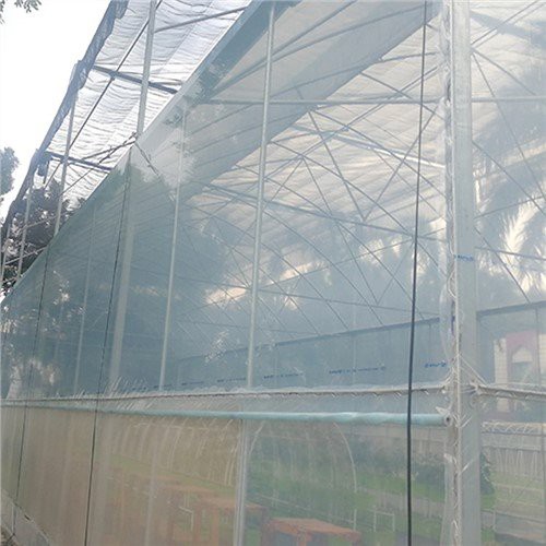 6 mil folhas de plástico transparente para estufa