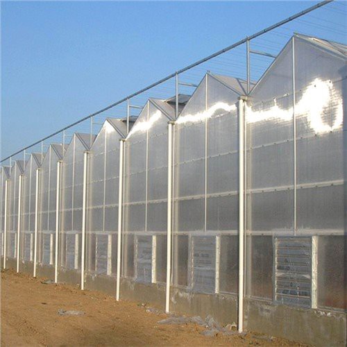 Agricultura Estufa Multi-span
