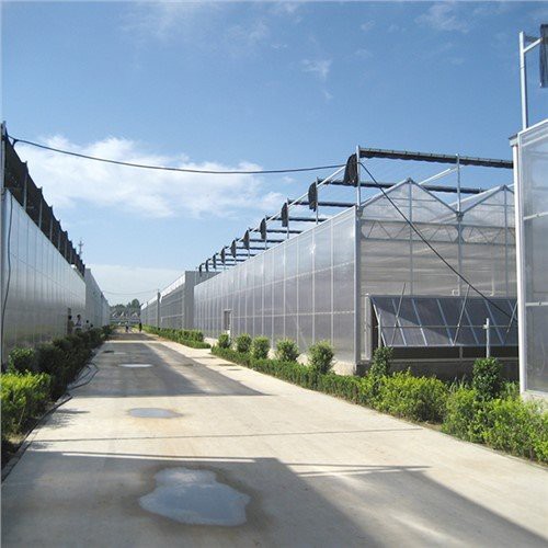 Greenhouse de vidro multi -span