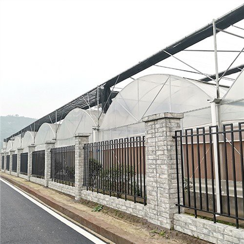 Estufa de cúpula de plástico